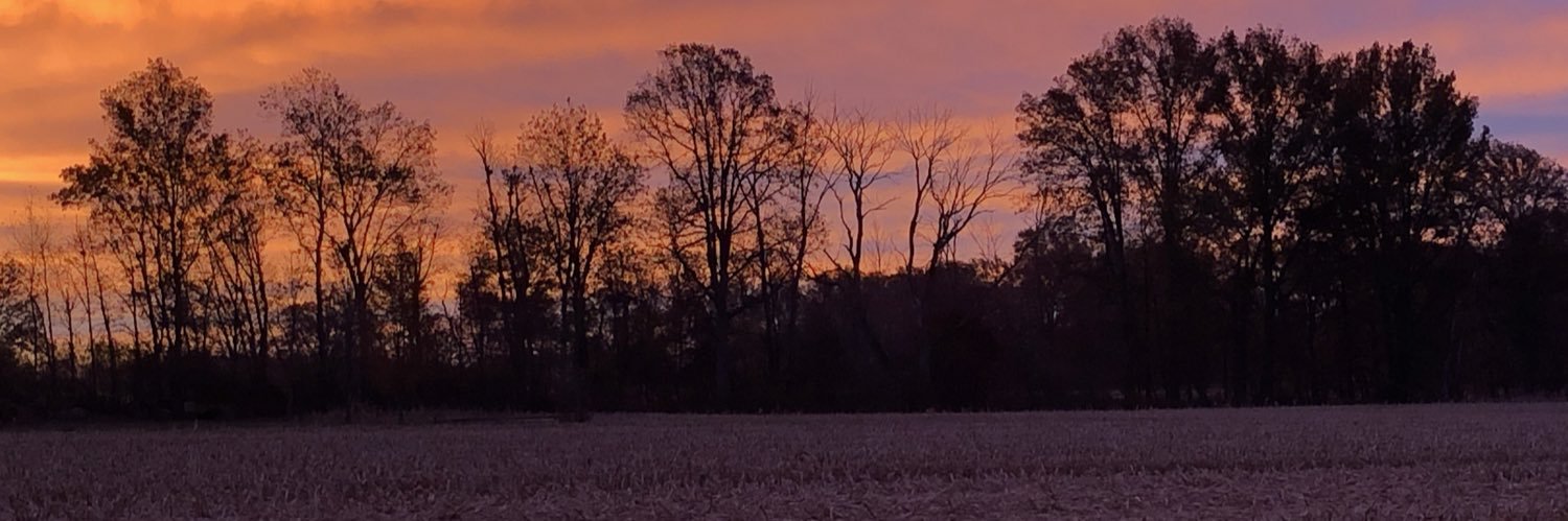 Jennifer McCormick's banner