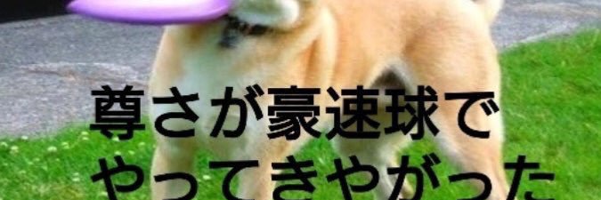 食え's banner