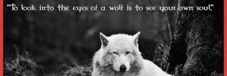 John - The Grey Wolf's banner