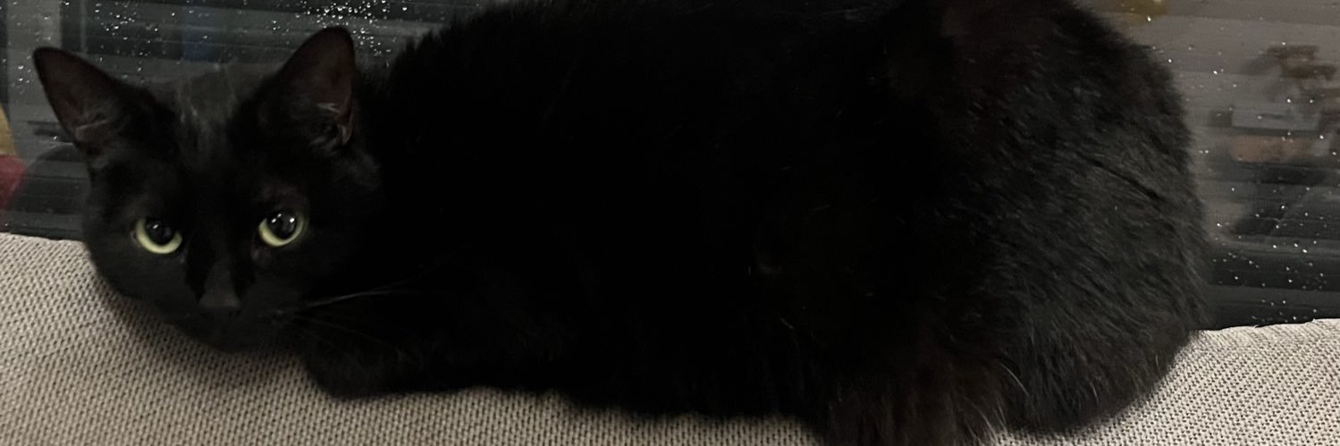 Sunshine's banner