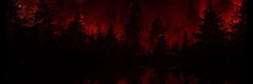 MrLinksguyman's banner