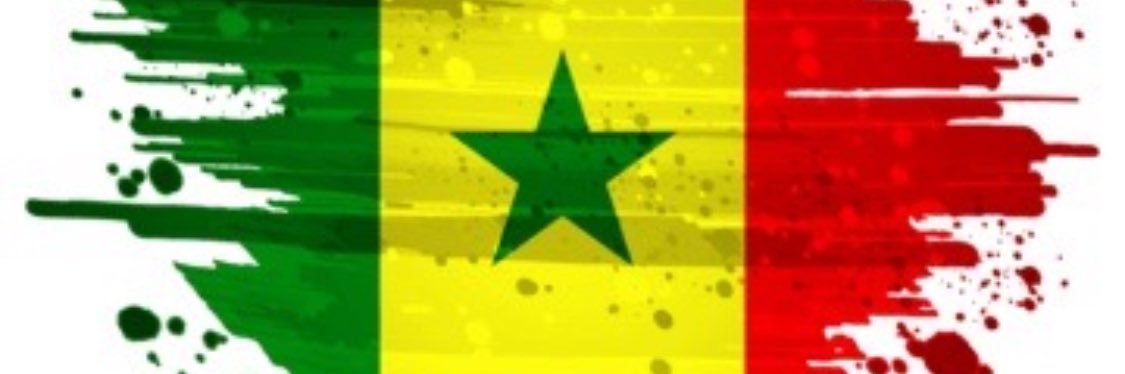 LE SÉNÉGAL DANS L’ÂME 🇸🇳🇸🇳❤️❤️'s banner