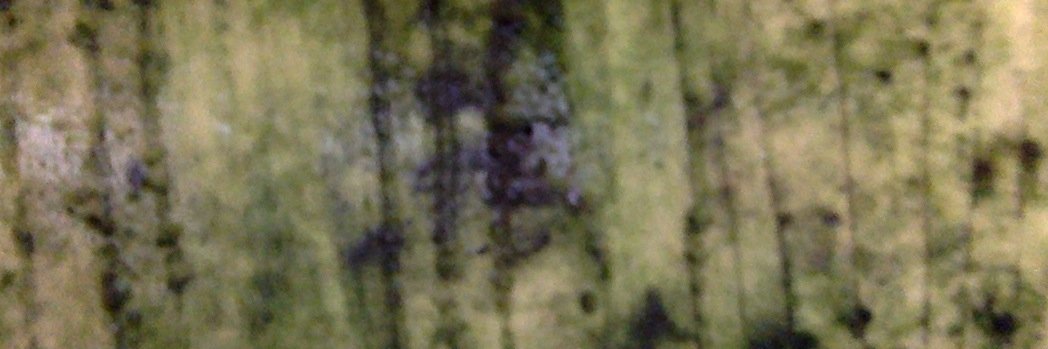 Tobias Menzies's banner