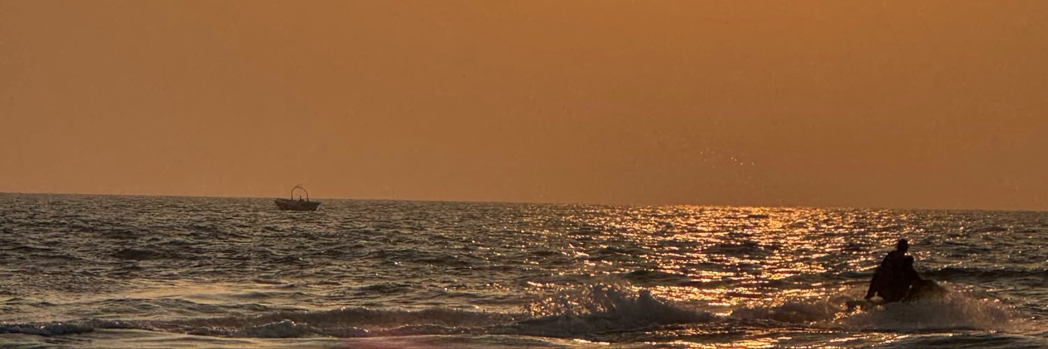 DomAlpha29's banner