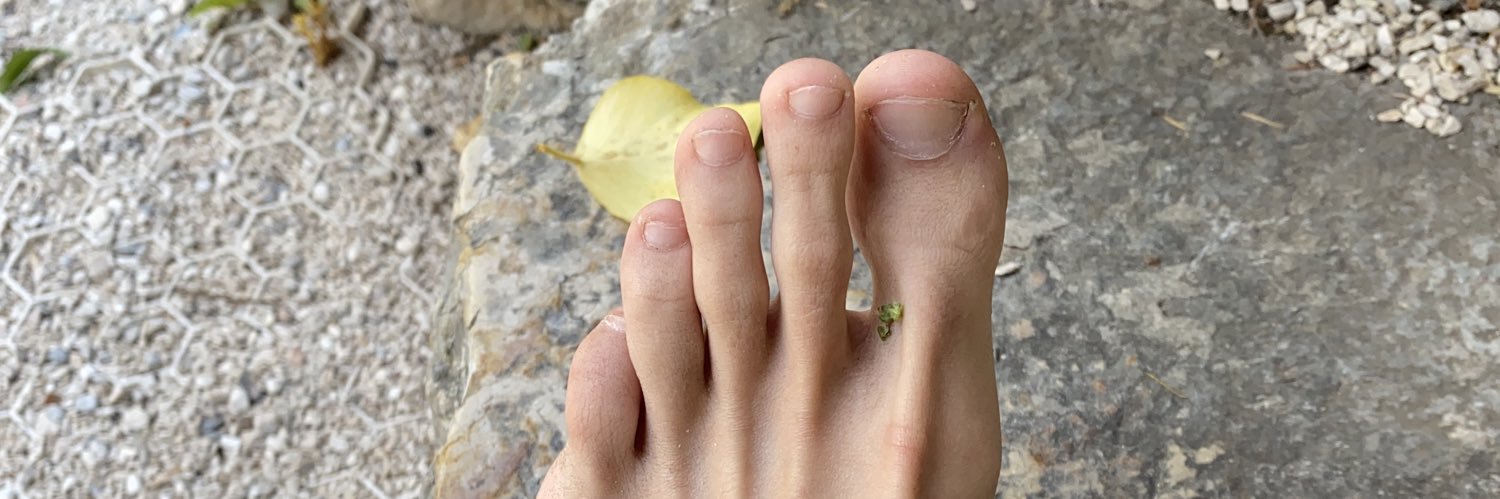 BigToes's banner