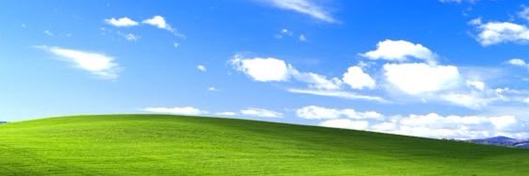 Bueno's banner