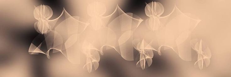 val's banner