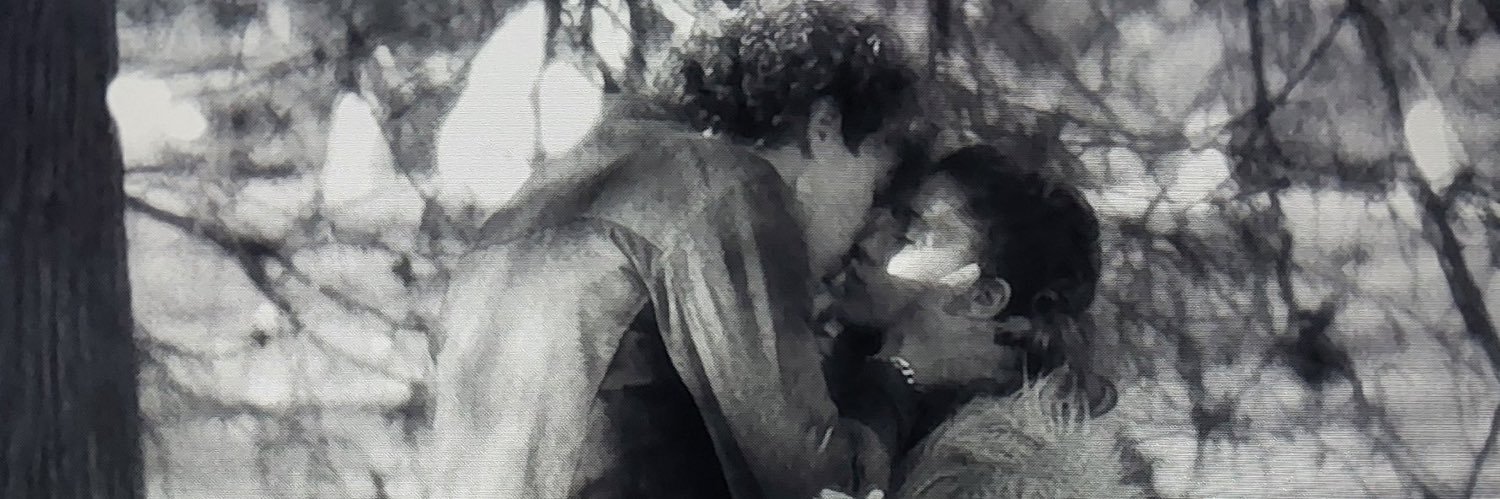 lu's banner