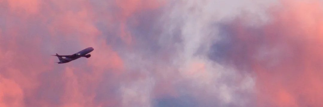 Cole Lee's banner