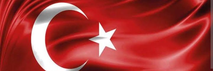 nejla turan's banner