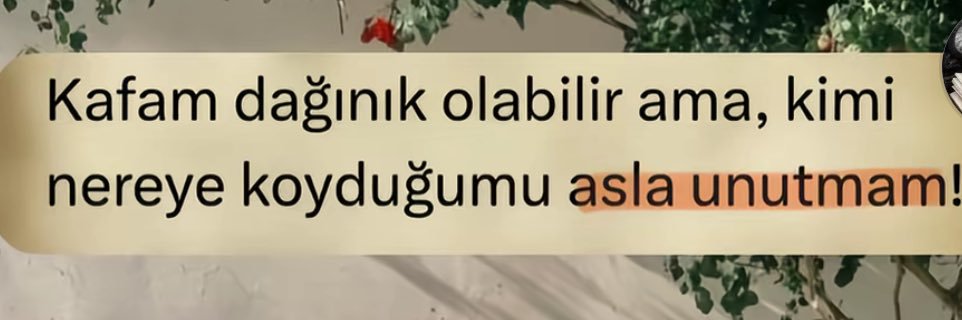 Nene hatun..'s banner
