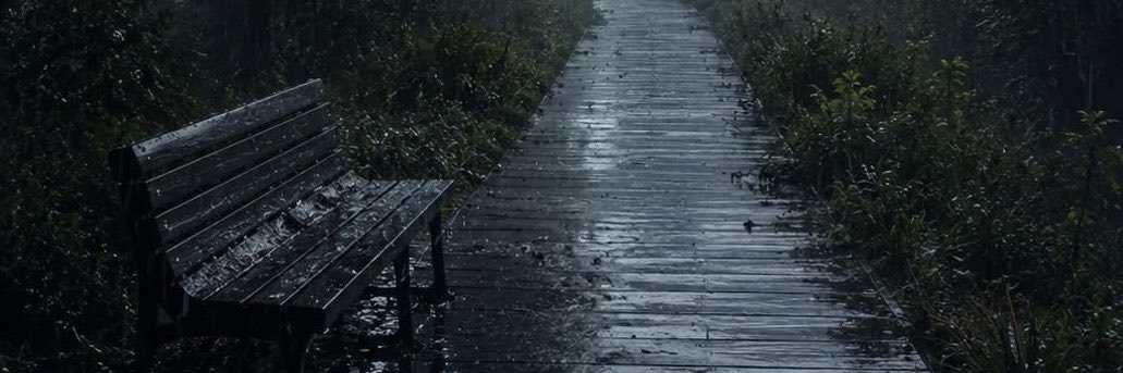 ❁'s banner