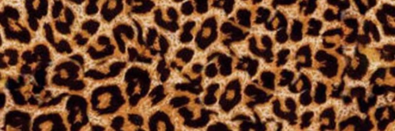 Maeve Walker's banner