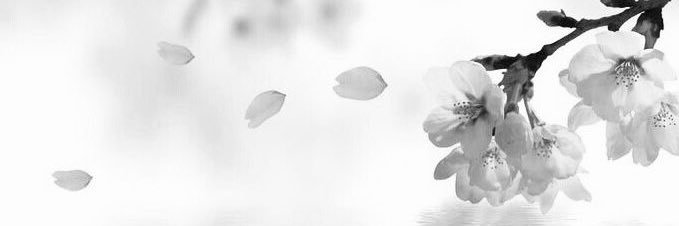 rua's banner