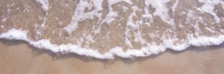 Lily 𓏲ּ ᥫ᭡ ˑ ❀'s banner