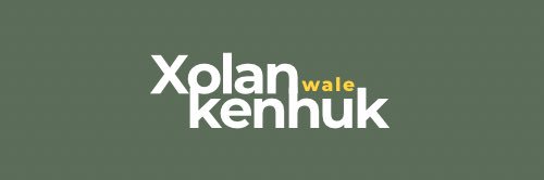 Xolani Faken Ndlovu's banner