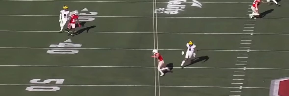 Random Michigan Play Every Day's banner