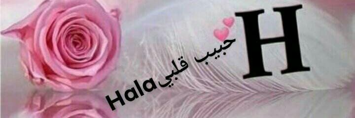 صفوت زيان's banner