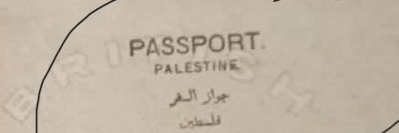 Nadin Nabil Al Shaker's banner