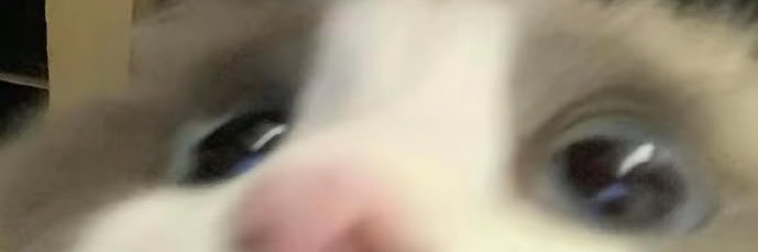 桃桃🍑's banner