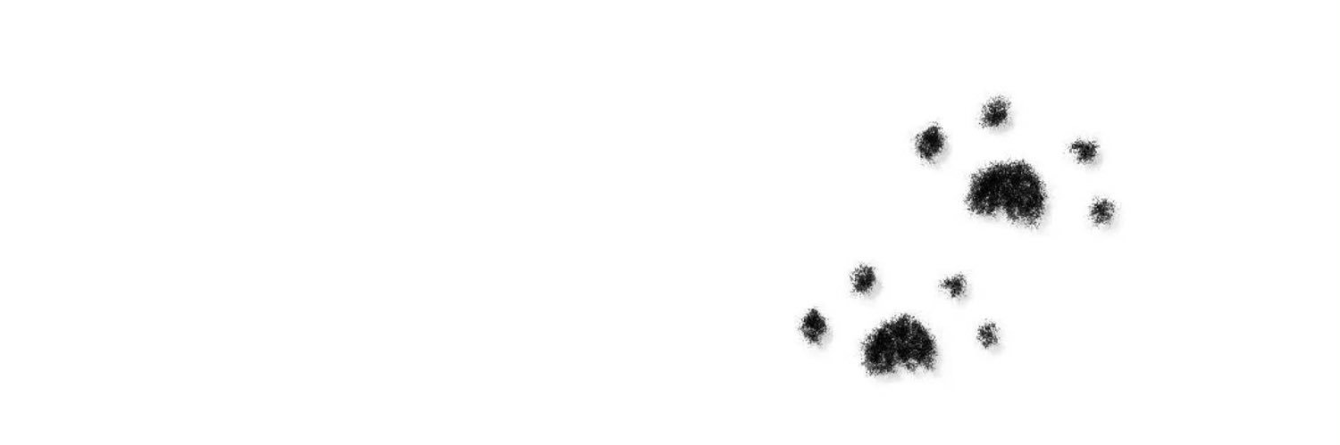 Cold（限流版）'s banner