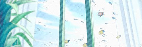 kuri's banner