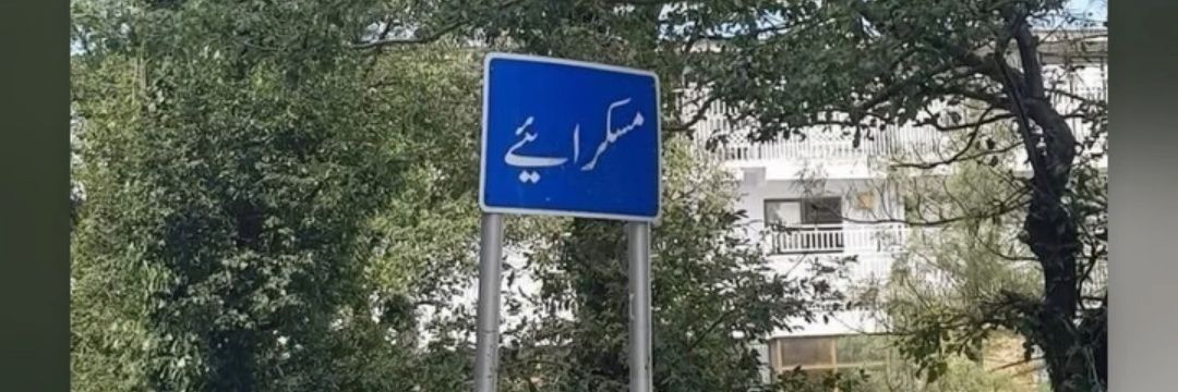 ALI's banner