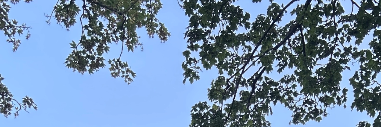 Greg McKeon 👨🏻‍🌾🌲's banner