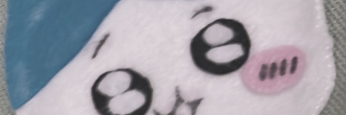 53's banner