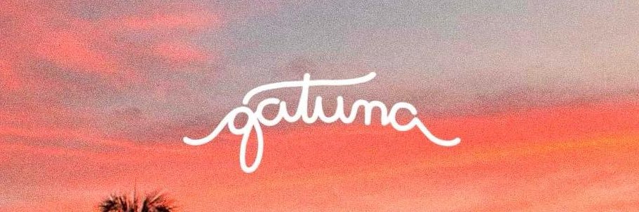 gatuna das promoções's banner