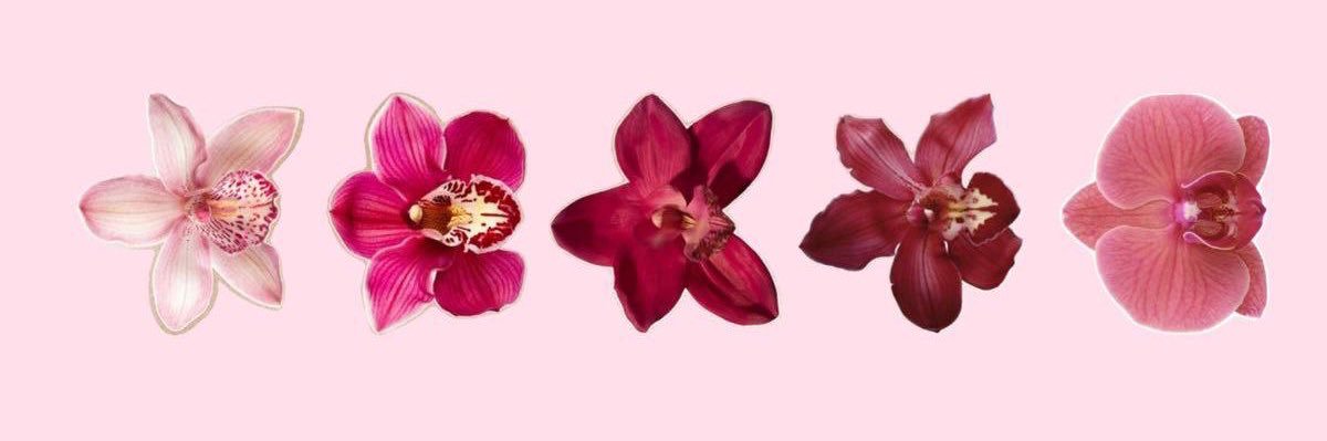 𝒮𓂀's banner