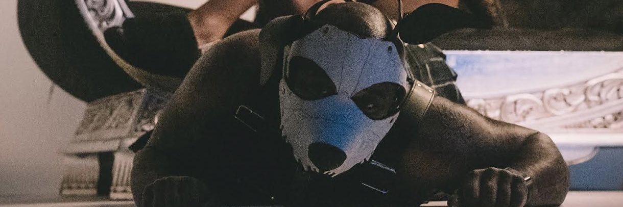 Prince Ali🐶🏳️‍⚧️'s banner