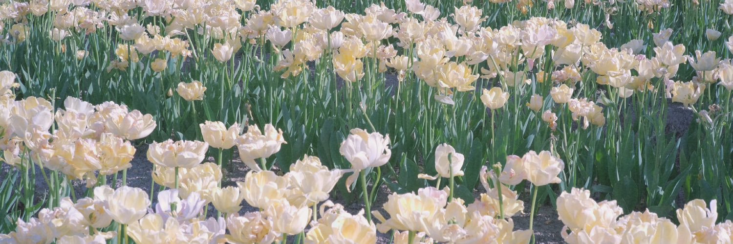 すず📝3Dモデラー's banner