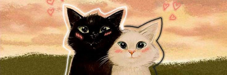 ˚ ༘ sam's banner
