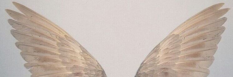 ☾'s banner