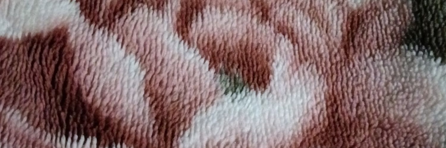 そばつゆ's banner