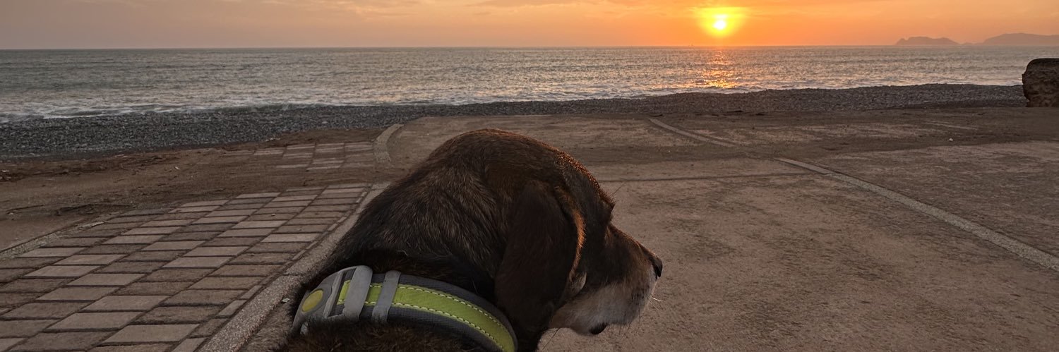 un perrito's banner