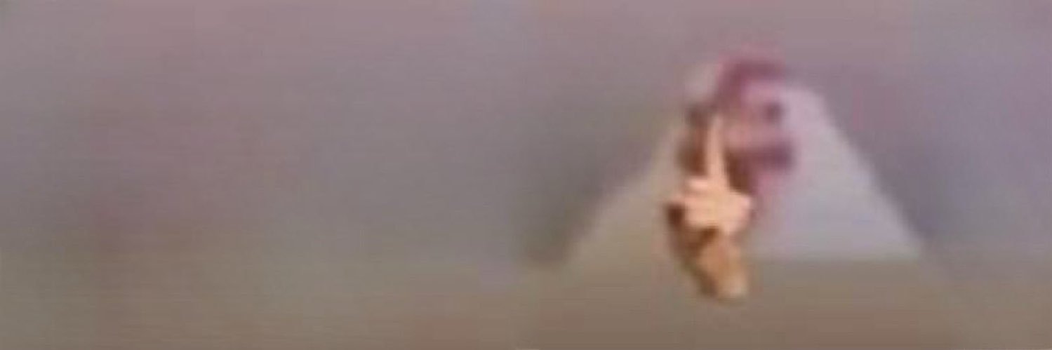 nuttchicken🇮🇷's banner
