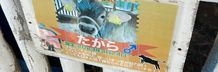 たから's banner