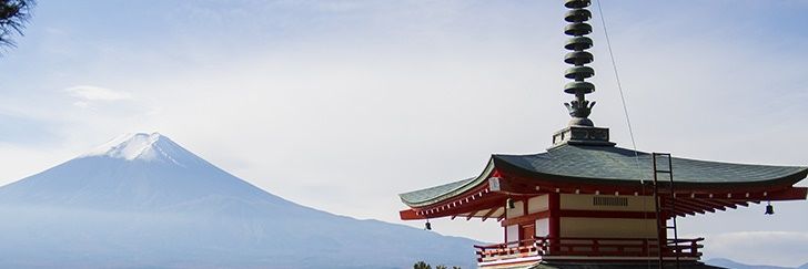 ジョニーリマソ｜迷惑外国人撲滅's banner