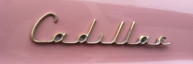 leslie's banner