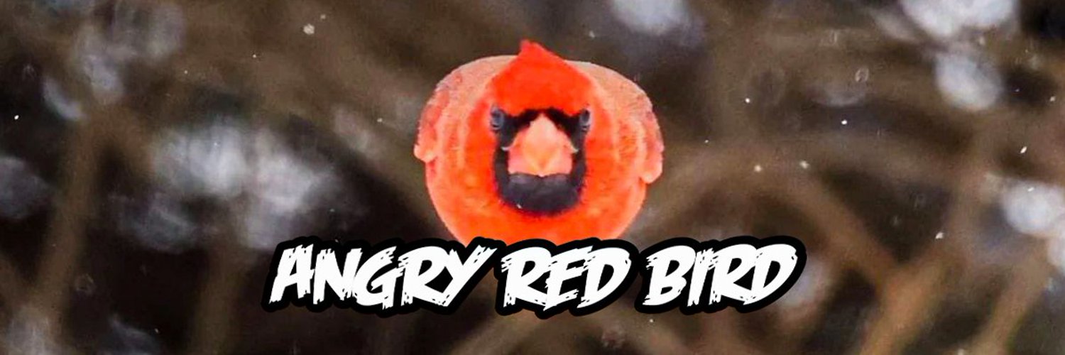 Matthew Cageish's banner