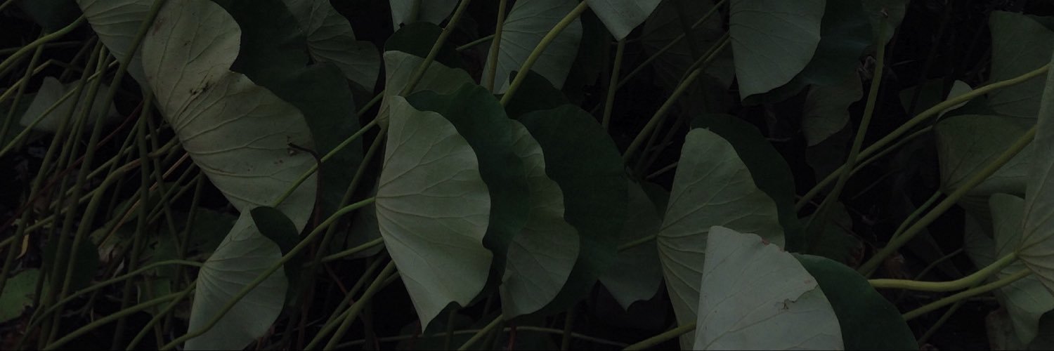 小林綠子's banner