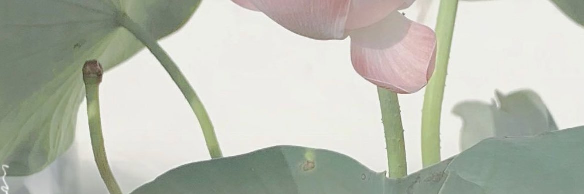 jen —'s banner