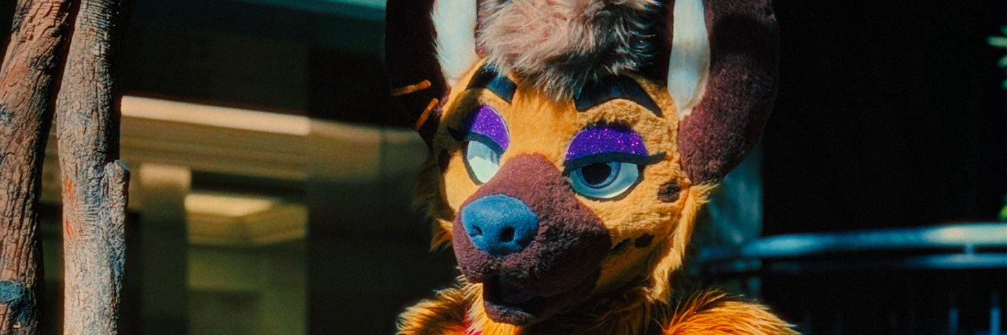 🐾Ringo🐾's banner