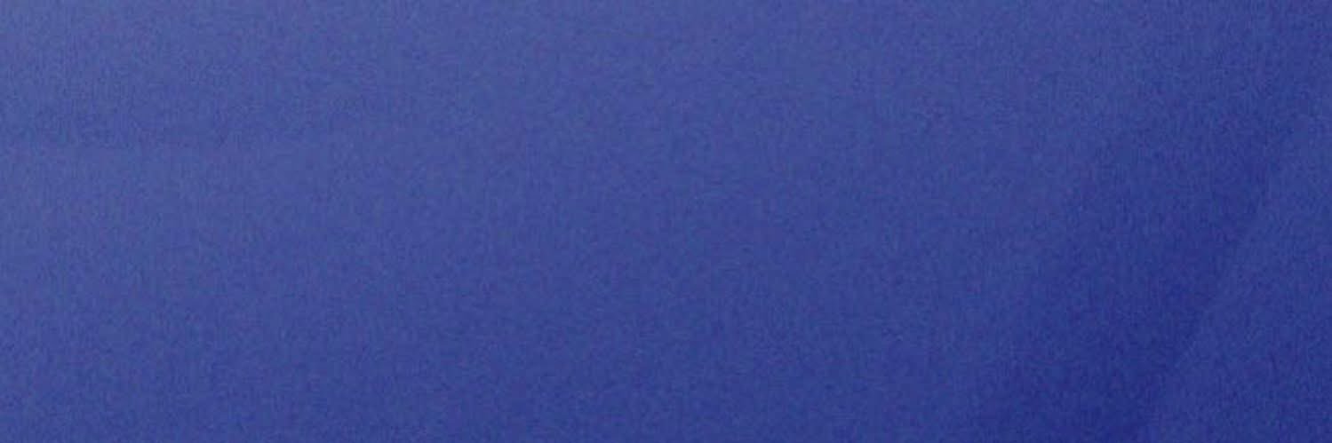TrechoNews's banner