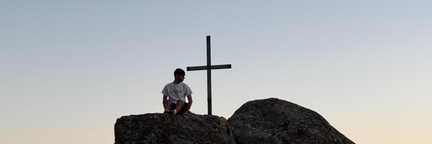 aleix ꕤ's banner