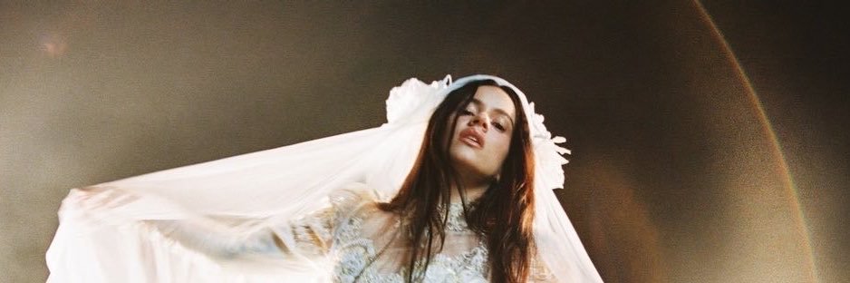 aleix ꕤ's banner