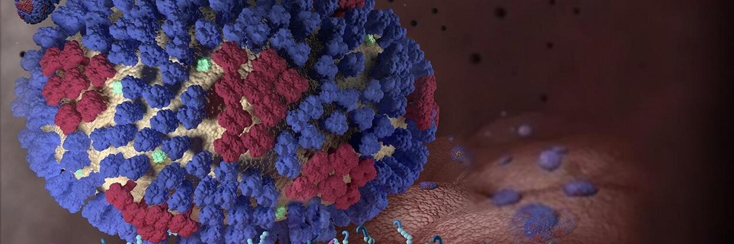 CDC Flu's banner