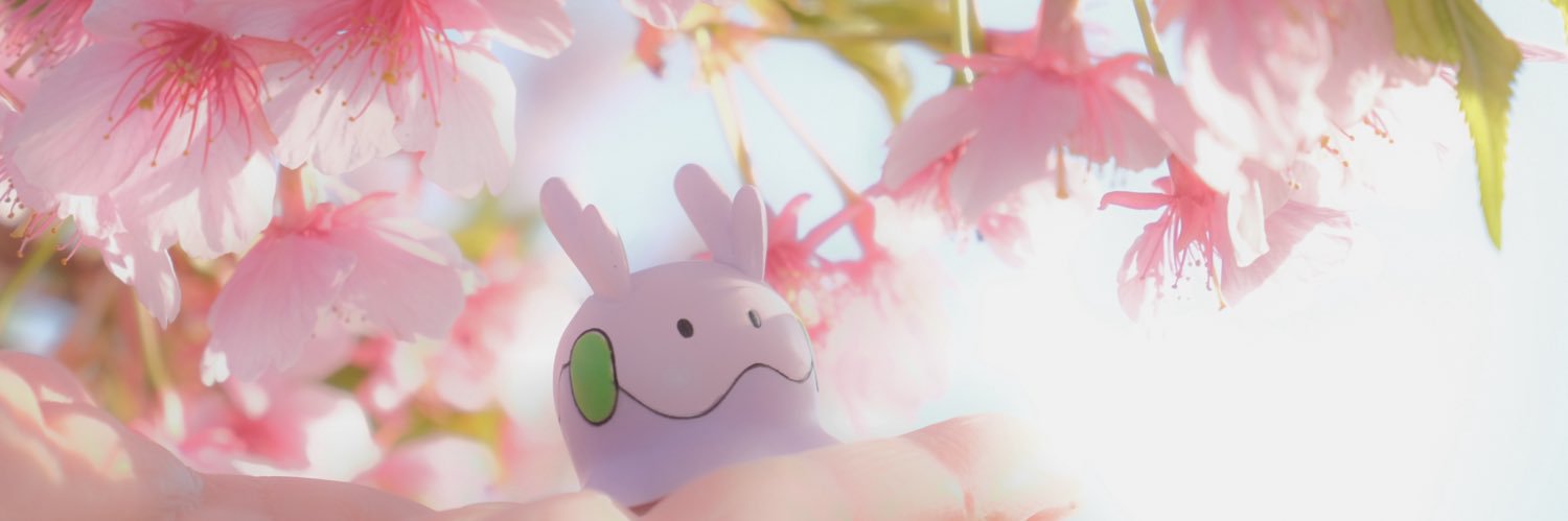 カオルぴ📷 pokephotographer's banner